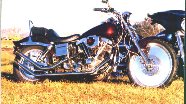 hog.jpg (60585 bytes)