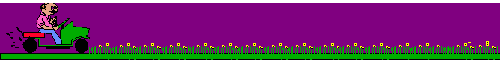 lawnmo~2.gif (11426 bytes)