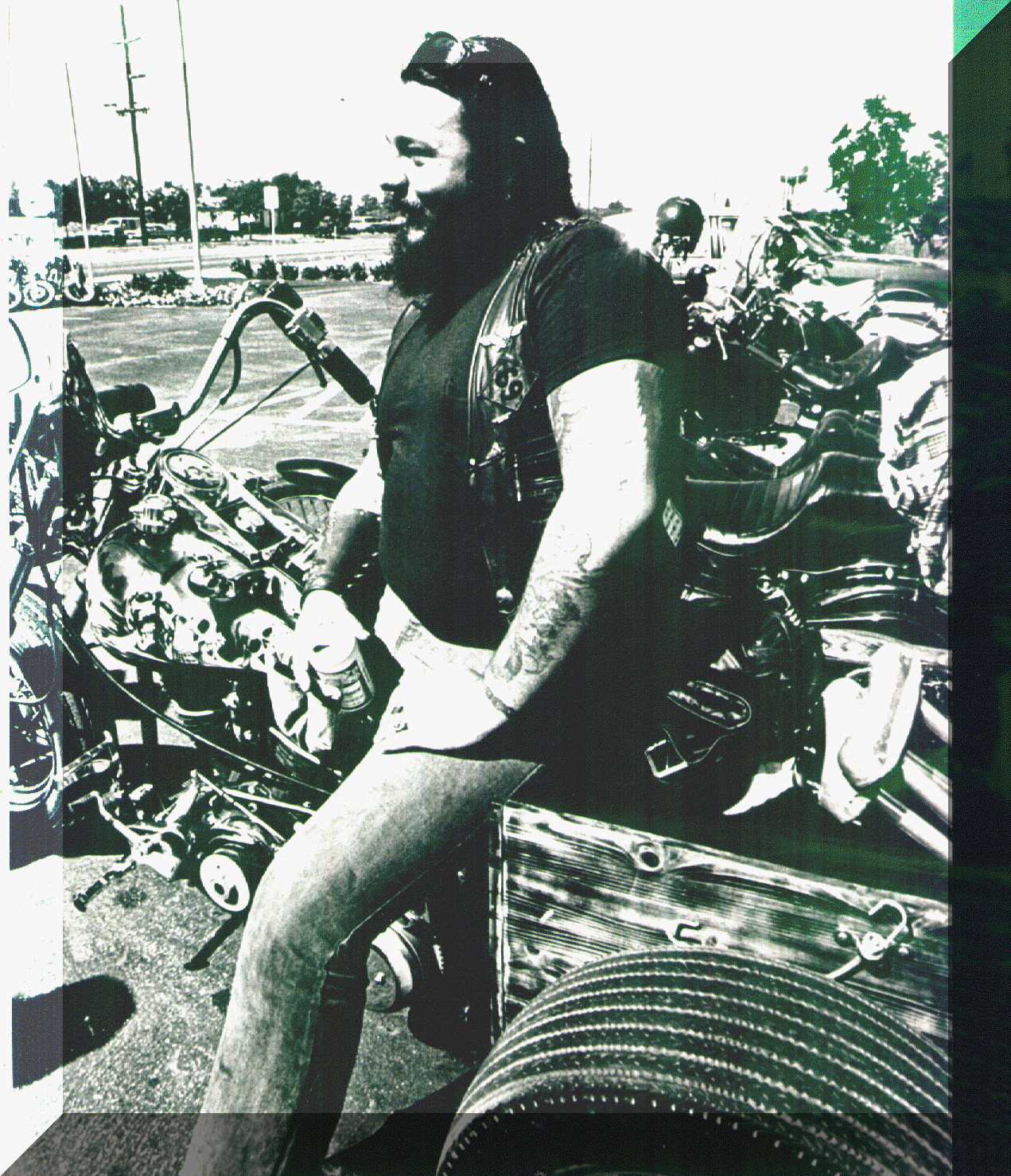 wpe71039.gif (994472 bytes)