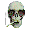 skull.gif (9588 bytes)