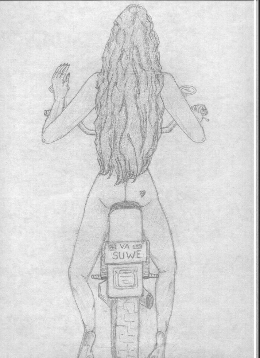 wpe96549.gif (848061 bytes)