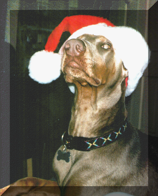 wpe91767.gif (184223 bytes)