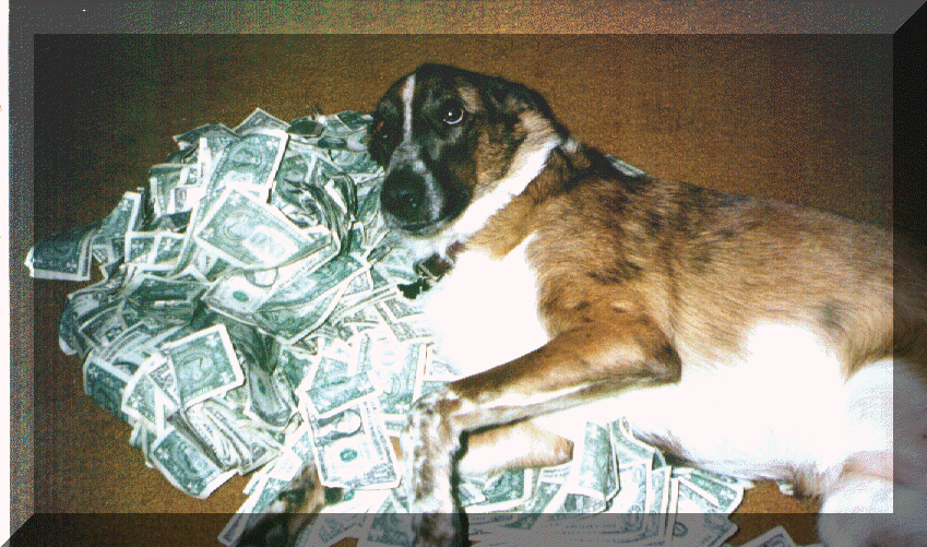 wpe43017.gif (287513 bytes)